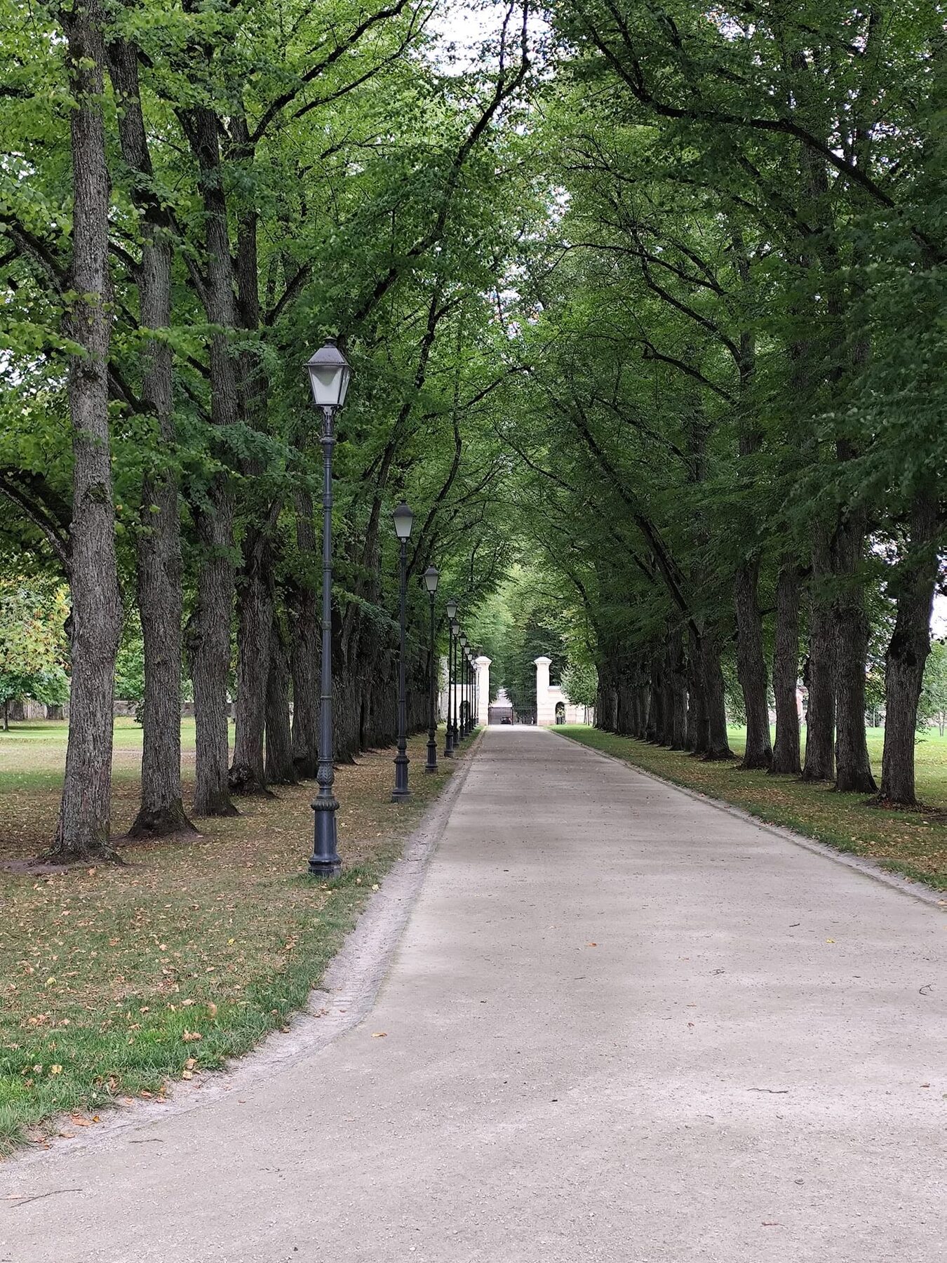 Park przy pałacu Tyszkiewiczów nad jeziorem